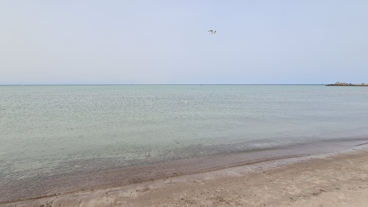Blick auf eine dunkle Horizontlinie vom Strand aus, Wasser grünlich, Himmel hellblau, eine Möwe fliegt